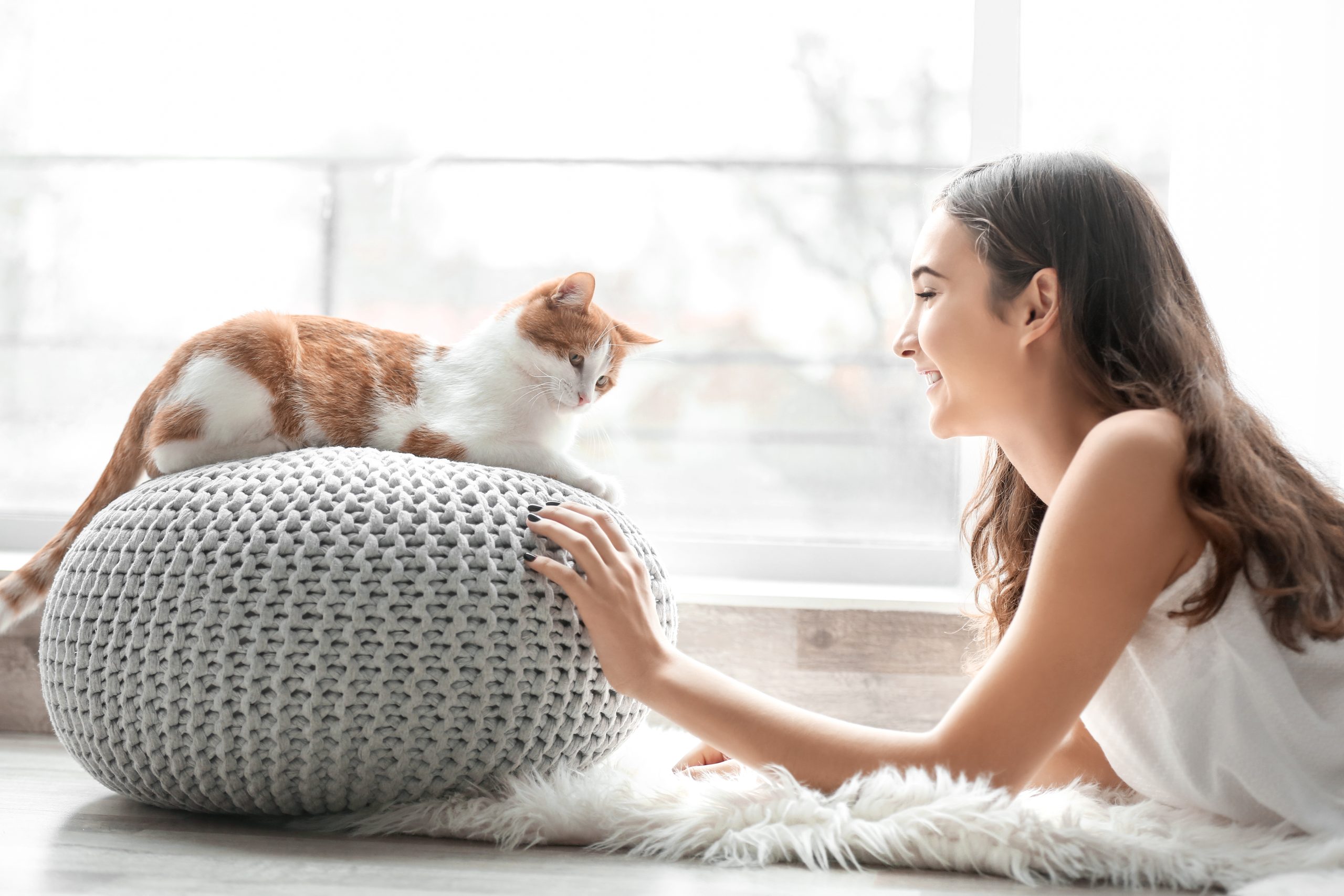 Katzenpsychologie – auch Katzen lassen sich erziehen