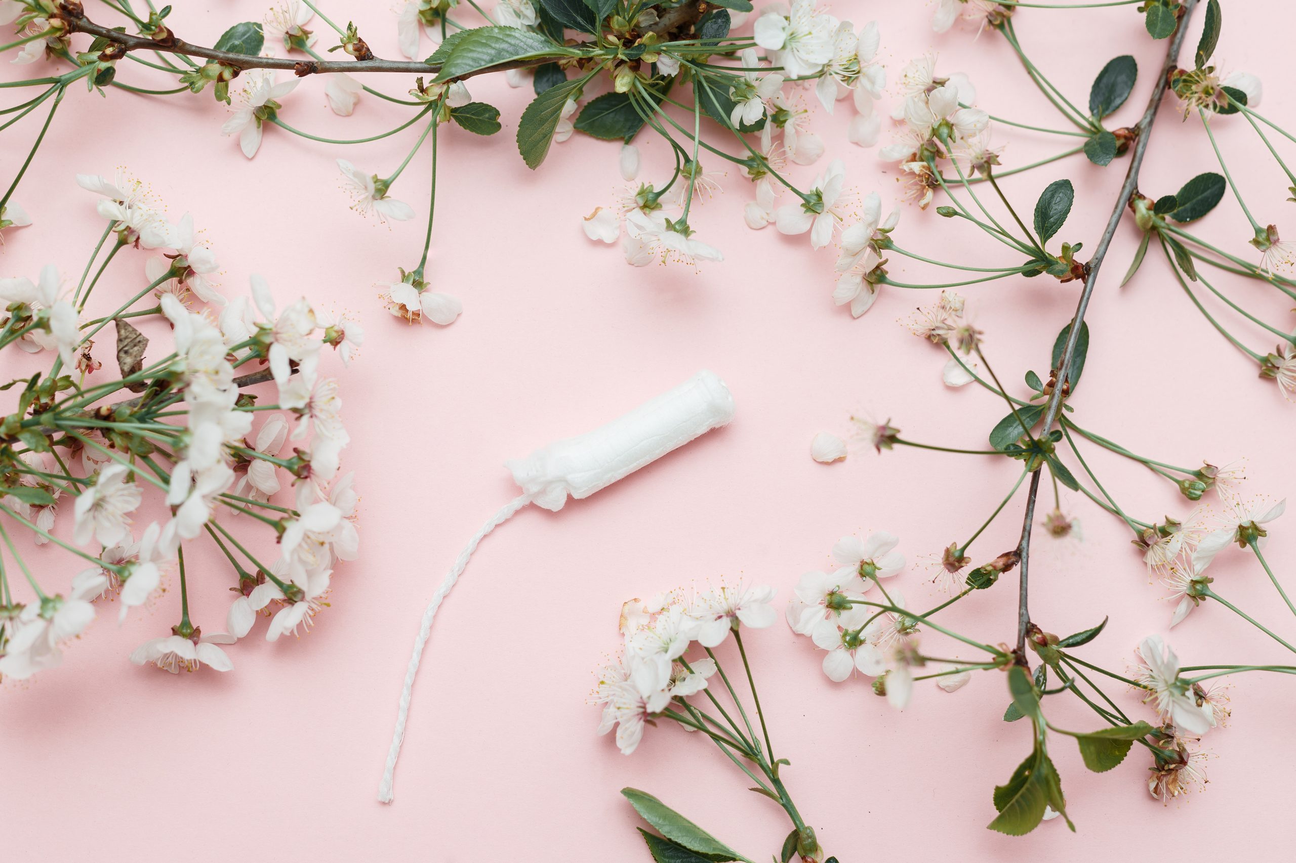 Hygienic tampon and sanitary napkin for every day with pink and white panties with green flowers on a white background.