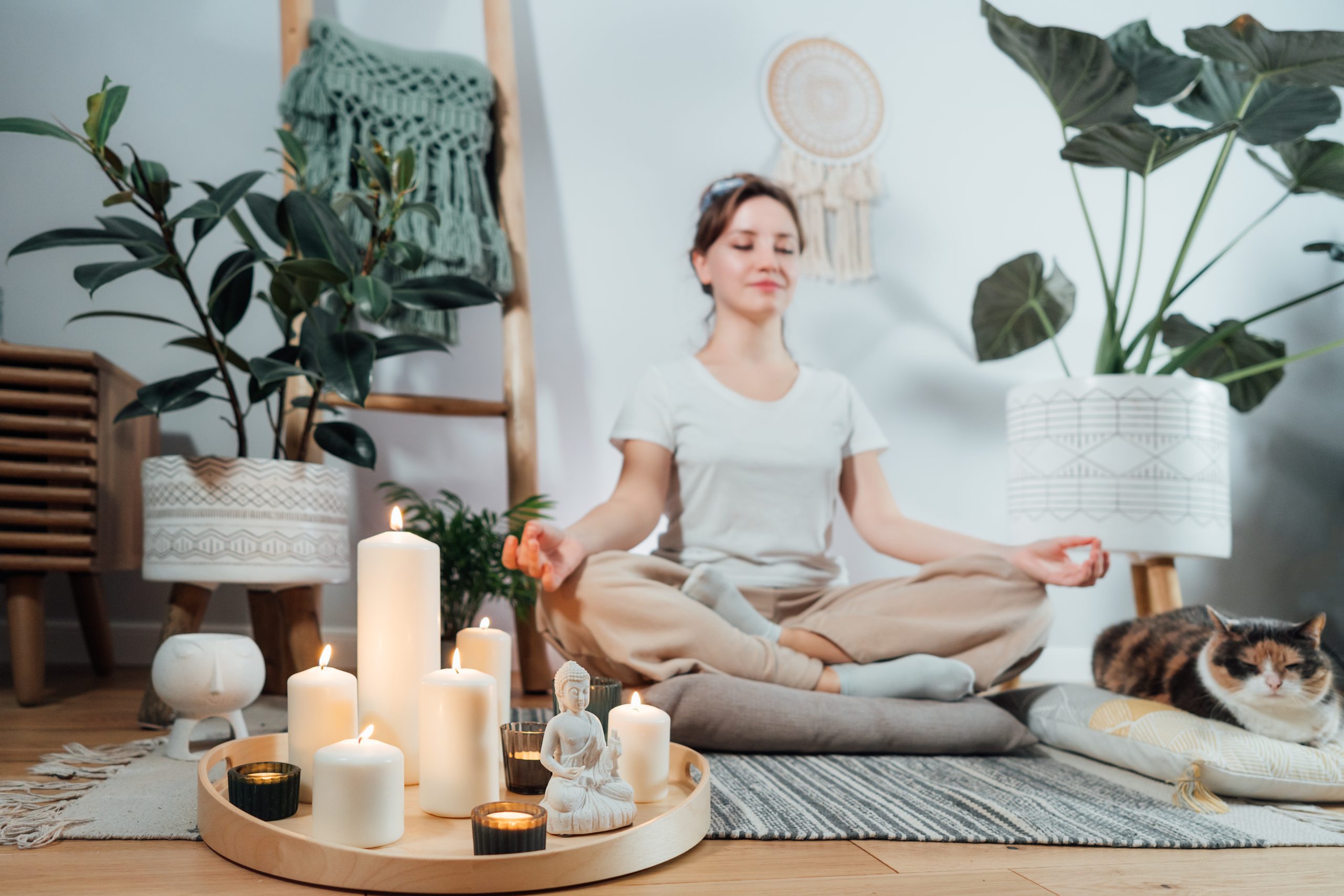 Feng Shui für Zuhause und in der Arbeit