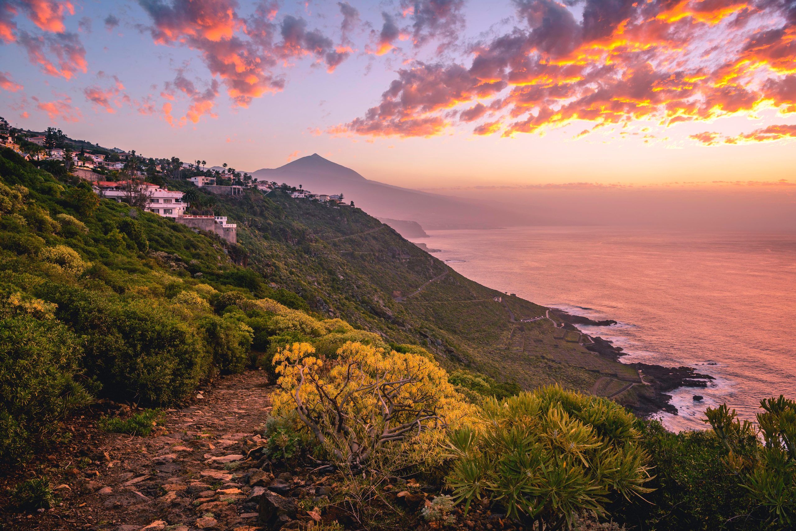 Frühling auf Teneriffa: Traum-Ziel für Urlauber und Aussteiger