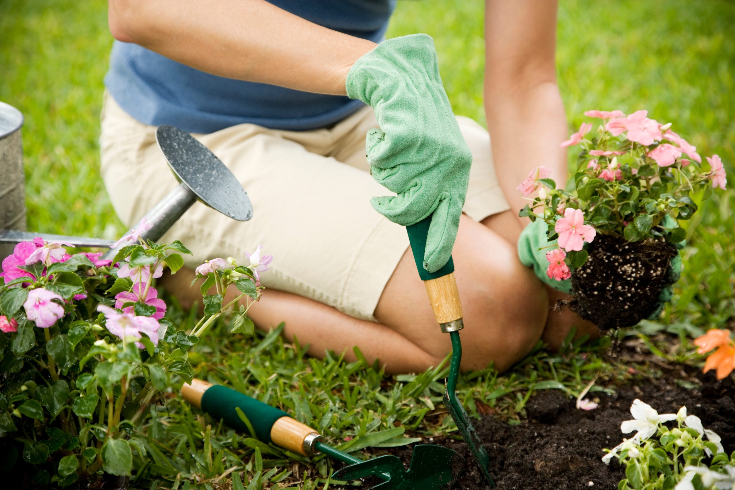 Must-haves für den Garten