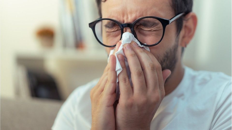 Schlechte Nachrichten für Allergiker: 2024 wird das Super-Pollen Jahr