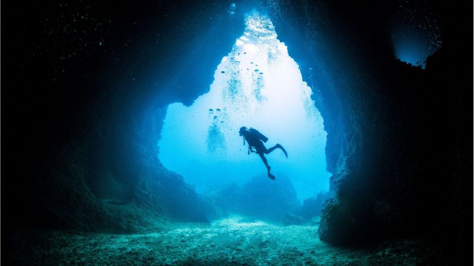 Verblüffend: Forscher entdecken über 100 neue Meeres-Spezien