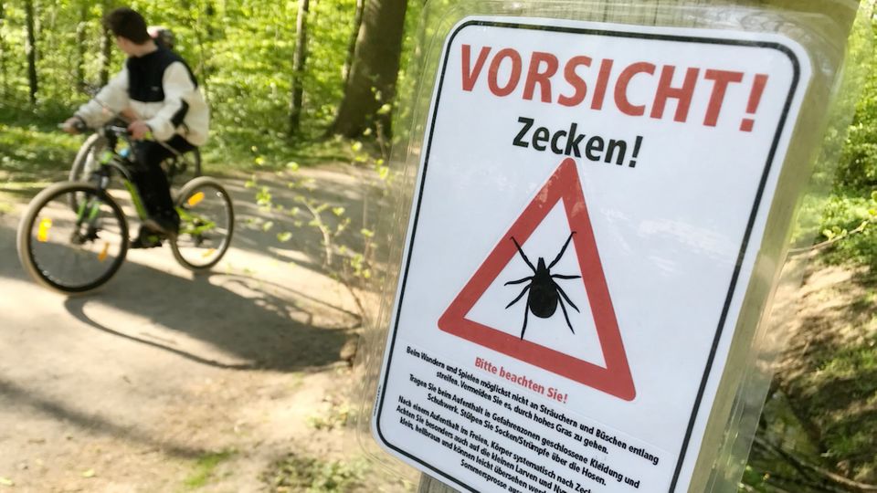 Gefahr durch Zecken: Das sind zwei neue FSME-Risikogebiete in Deutschland