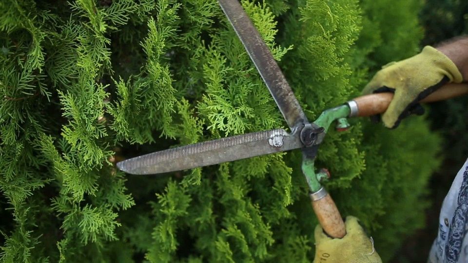 Bis zu 100.000 Euro Strafe drohen ab März bei diesen Gartenarbeiten