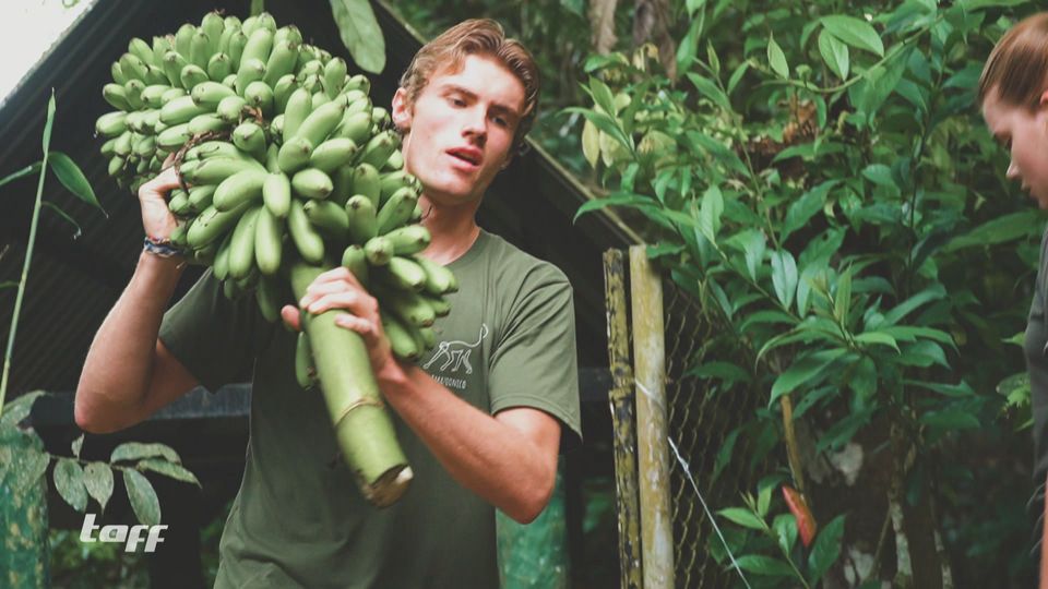 Sommer-Jobs: Freiwilligen-Arbeit im Ausland (Teil 1)