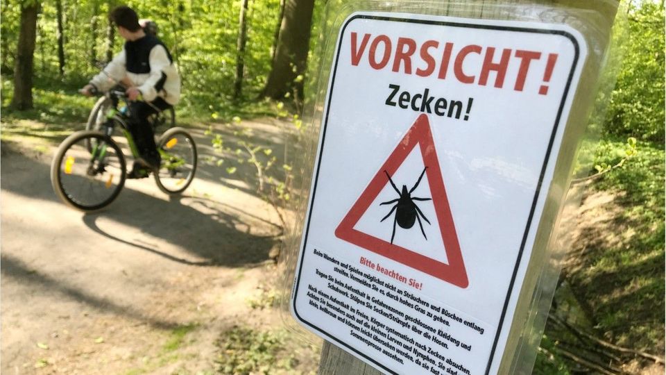 Zecken-Expertin warnt: „Nirgendwo mehr richtig sicher“