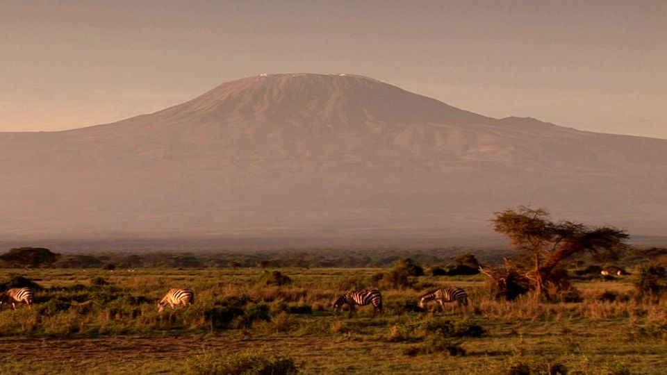 90 Prozent: Extremer Eis-Schwund in Afrika