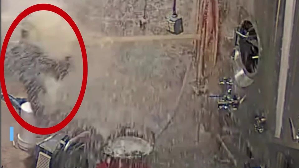 Biertank „explodiert“: Bierfontäne schleudert Brauer durch Raum