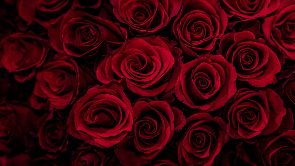 Valentinstag für die Liebe nicht entscheidend