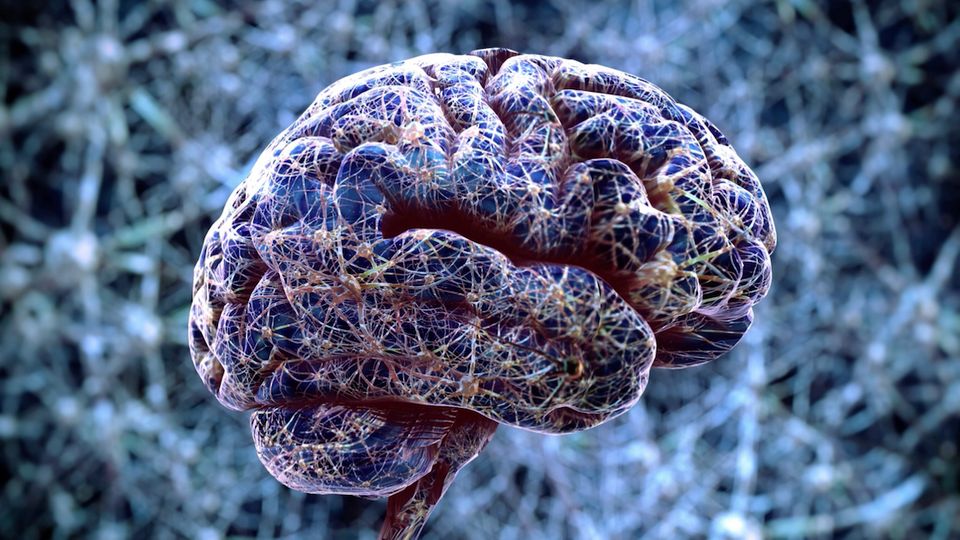 Durchbruch in Forschung: Bluttest erkennt Demenz schon 15 Jahre vor Diagnose