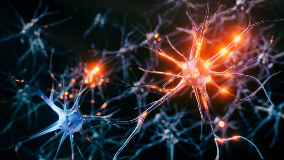 Hoffnung in Medizin: Wissenschaftler entdecken neuen Wirkstoff gegen ALS