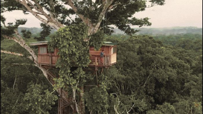 Das wohl extremste Klassenzimmer der Welt: Mitten im Regenwald