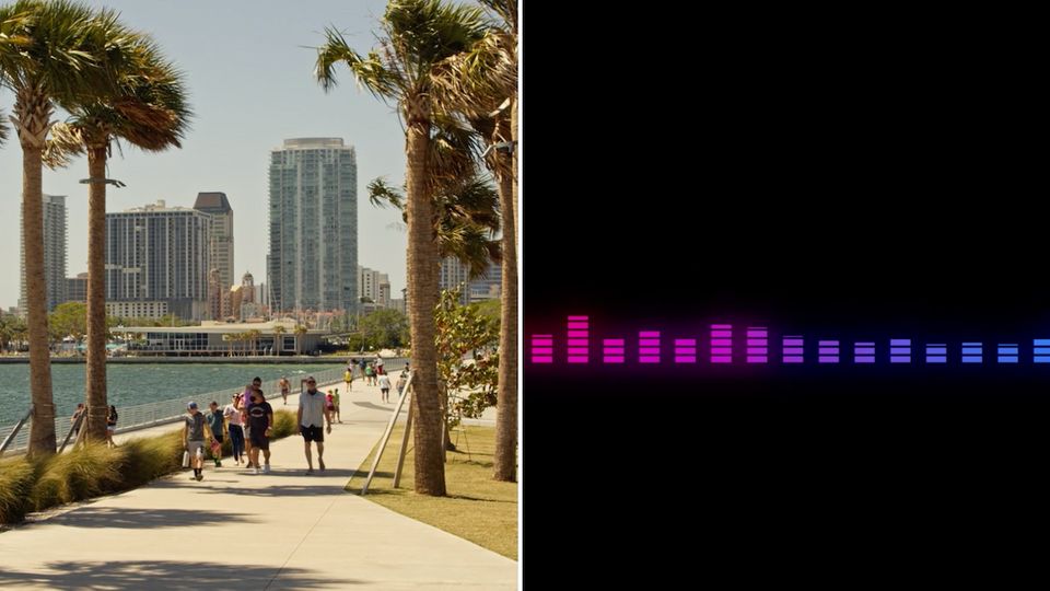 Fisch-Sex treibt Bewohner in Florida in den Wahnsinn