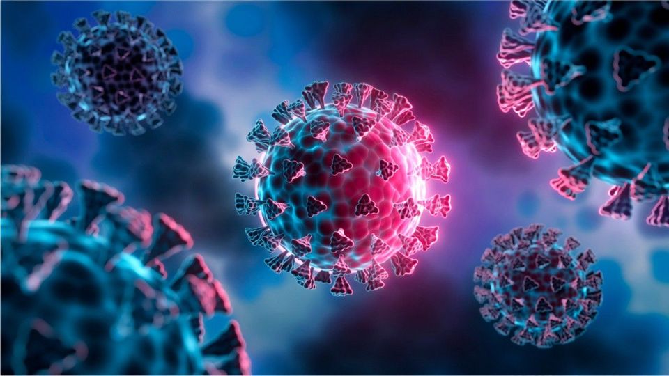 „100-prozentige Sterberate“ im Tierversuch: Gefährliche Corona-Mutante entdeckt