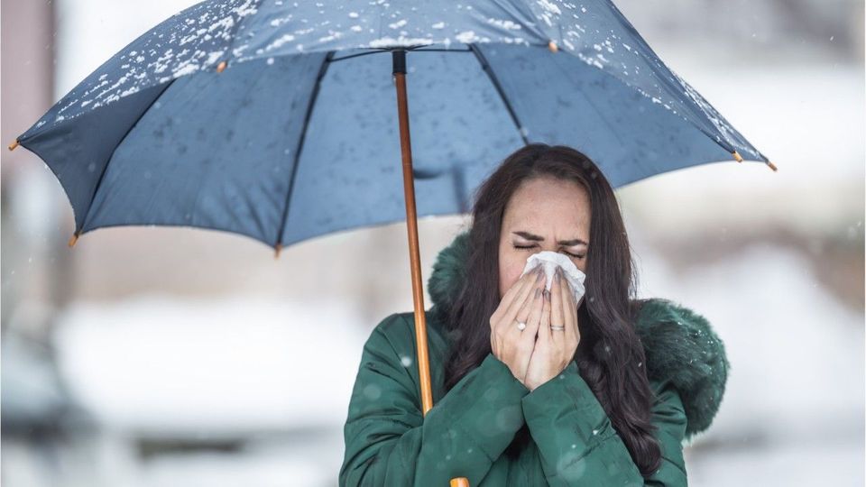 Schweinegrippe breitet sich aus: Das sind die Symptome