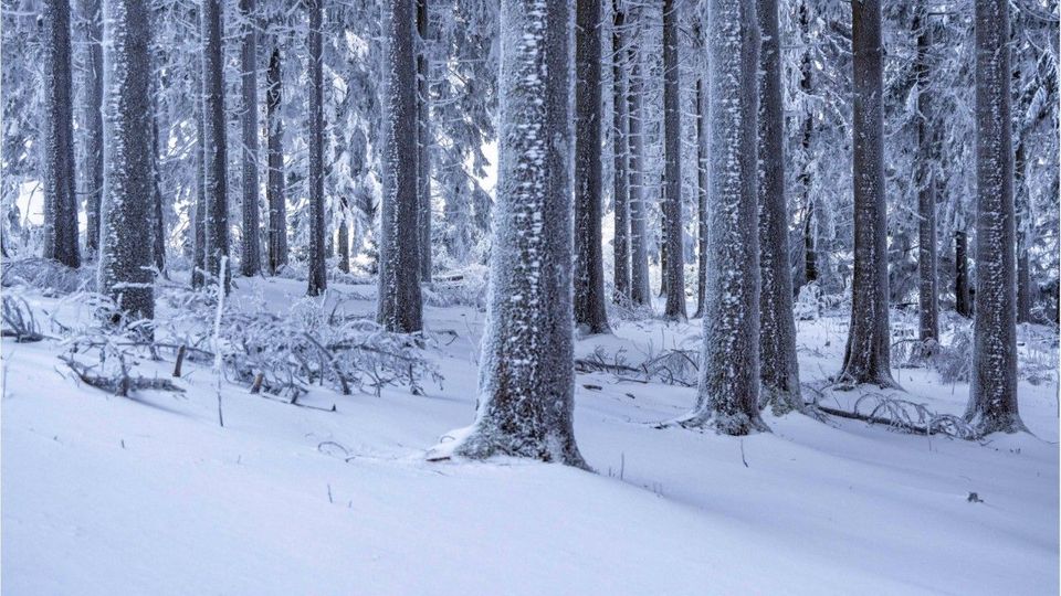 Bis zu 40 Zentimeter Neuschnee: Diese Regionen sind betroffen