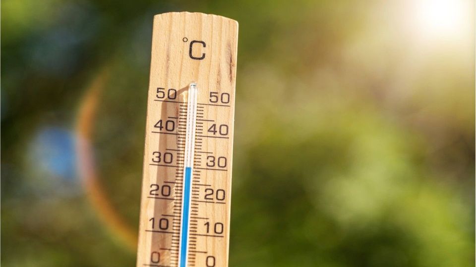 Jo-Jo-Winter: Nächste Woche 30 Grad mehr?