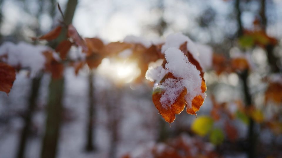 Frostige Kälte im Anmarsch: Hier wird es am eisigsten