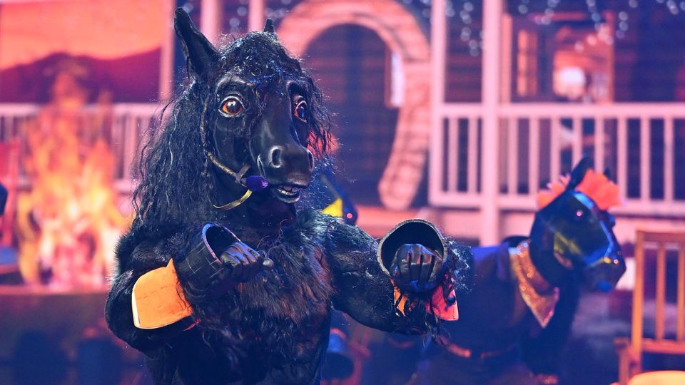 Sensationell! Der Mustang singt „Footloose“ von Kenny Loggins