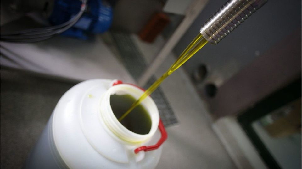 „Grünes Gold“: Dieses Lebensmittel wird knapp, teuer und beliebtes Diebesgut