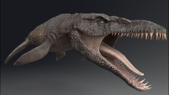 Riesiges See-Monster: Forscher machen 150 Millionen Jahre alten Sensationsfund