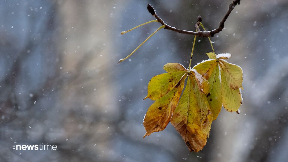 Bitterer Frost: Kälteste Nacht des Jahres erwartet