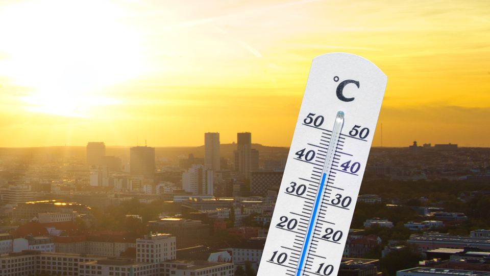 So belastet die extreme Hitze Deutschland