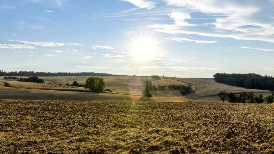 Extreme Hitze erreicht Höhepunkt