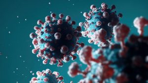 Corona: „Stratus“ breitet sich aus