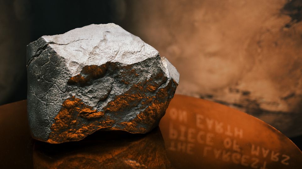Mars-Meteorit wird versteigert