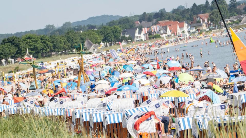 Tödliche Gefahr in der Ostsee: Vibrionen-Infektion fordert Todesopfer