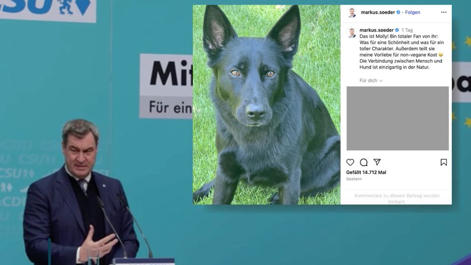 Söders Hunde-Foto löst Shitstorm aus