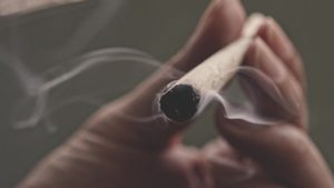 Warum Joints heute gefährlicher sind als früher