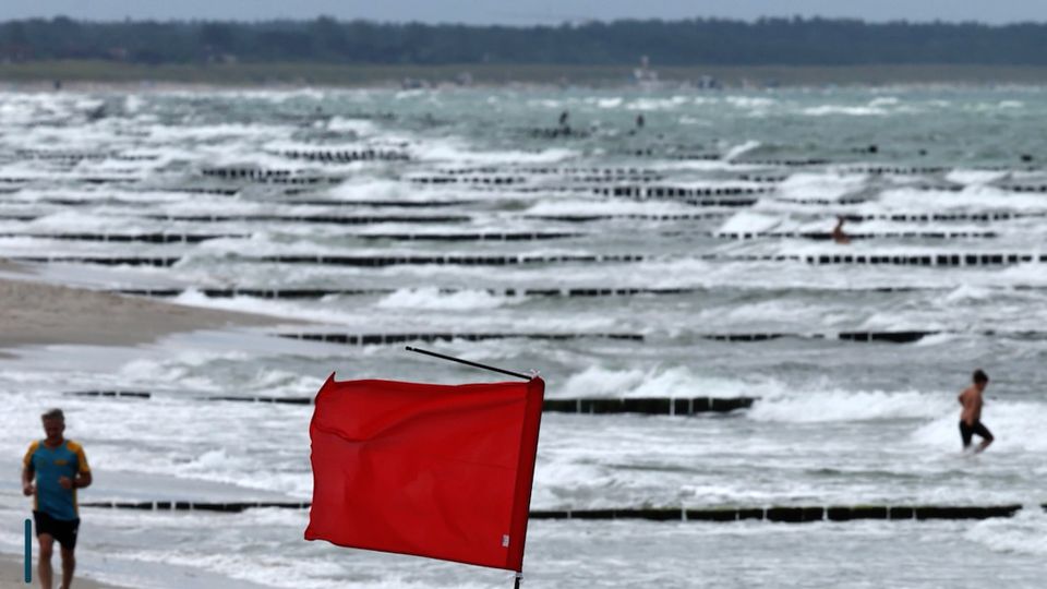 Dieses Verhalten an der Ostsee ist lebensgefährlich