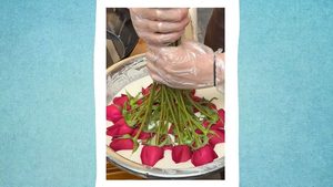 WIDL: Blumen-Snack aus der Fritteuse