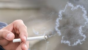 So viele Menschen sterben jährlich wegen Tabak