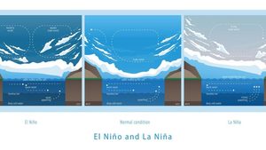 La Niña im Anmarsch: Mehr Regen auch in Deutschland