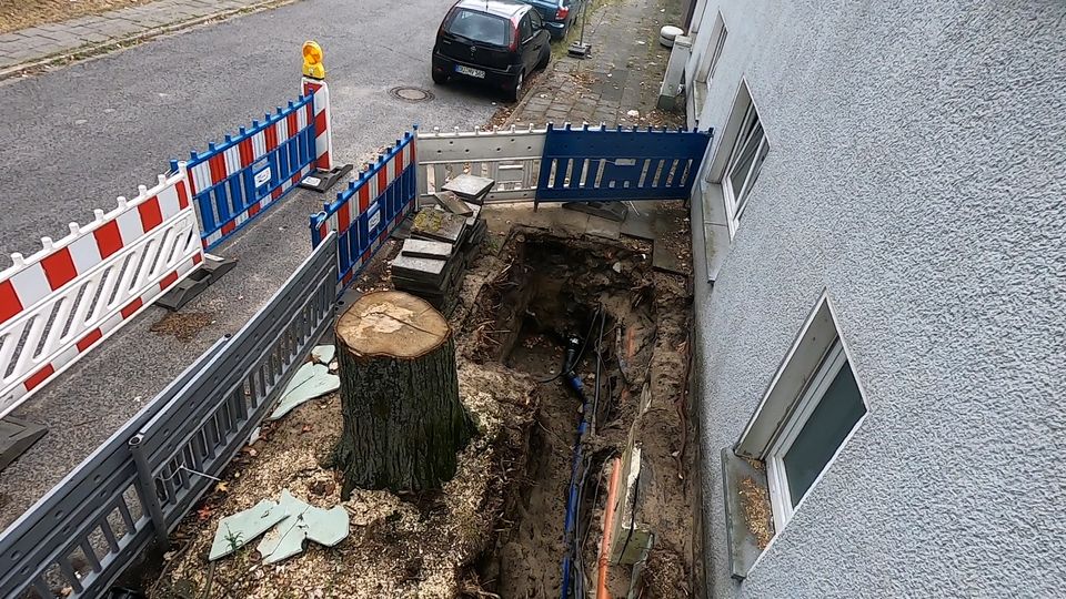 Wurzelschaden stoppt Werkstattbetrieb