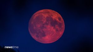 Himmelsspektakel: Totale Mondfinsternis