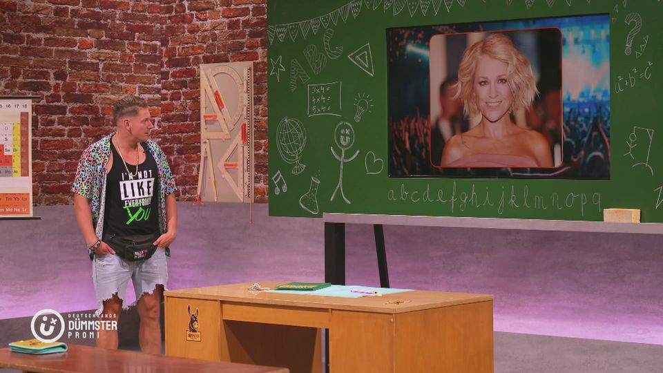 Nachprüfung: Musik-Stars erraten