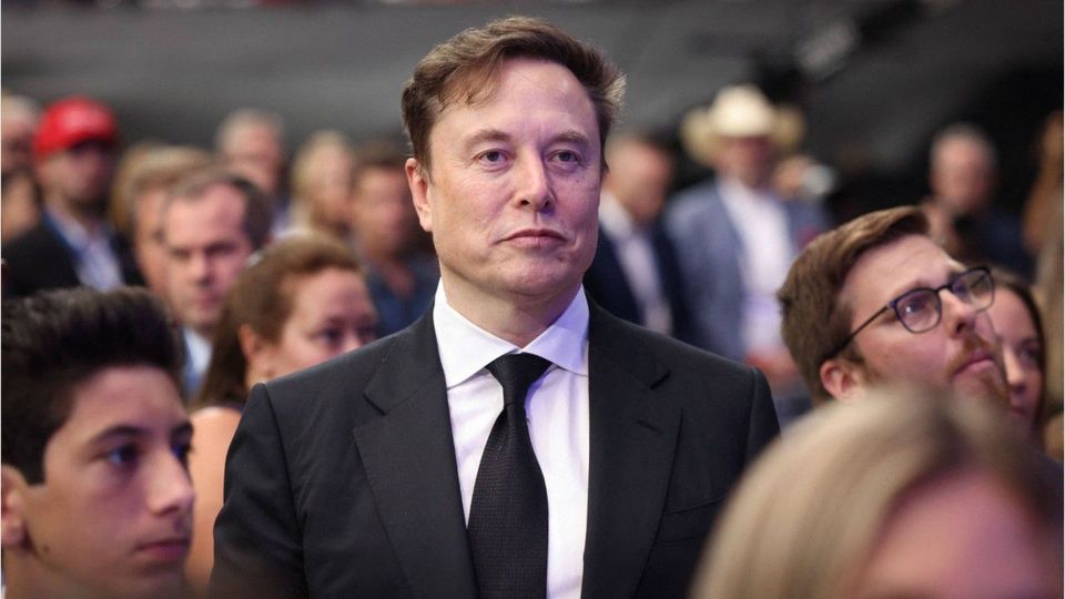 Hat Musk Epstein auf seiner Insel besucht?