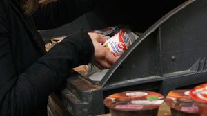 So viele Lebensmittel werden verschwendet