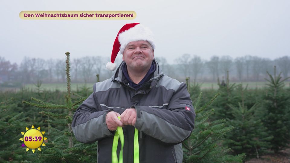 Der Spanngurt-Profi verhindert Weihnachtsunglück!