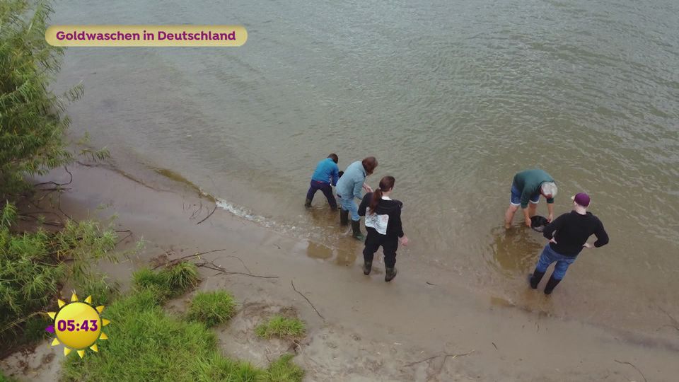 Die Jagd nach Gold in heimischen Gewässern