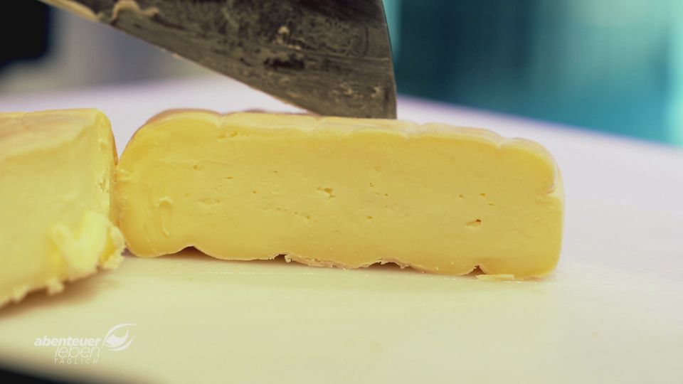 Von der Wiese bis zum Käsetraum: Wie aus Milch echte Genusskunst entsteht