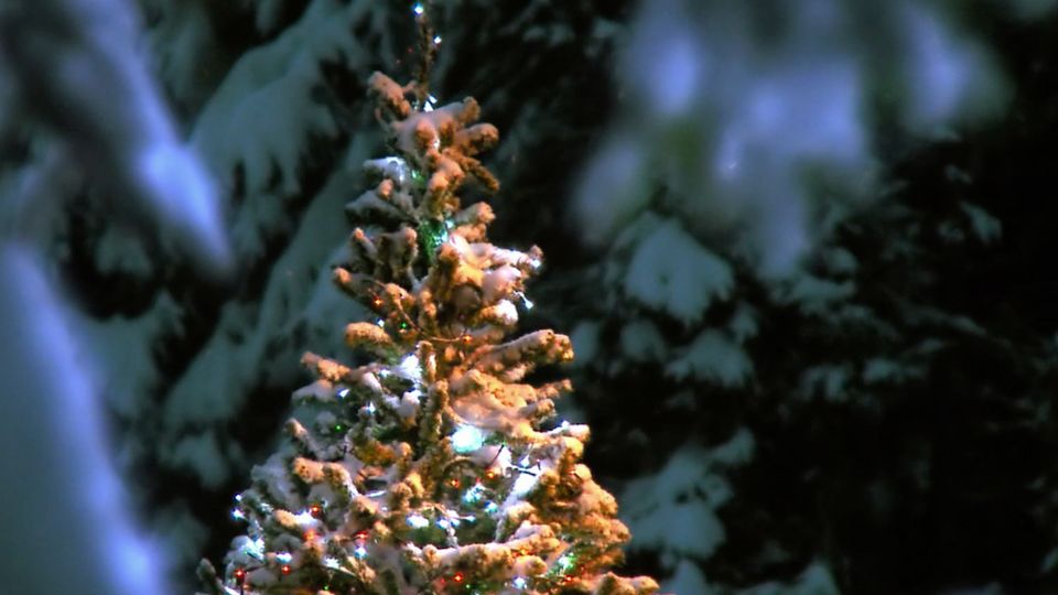 Gibt es 2025 weiße Weihnachten?