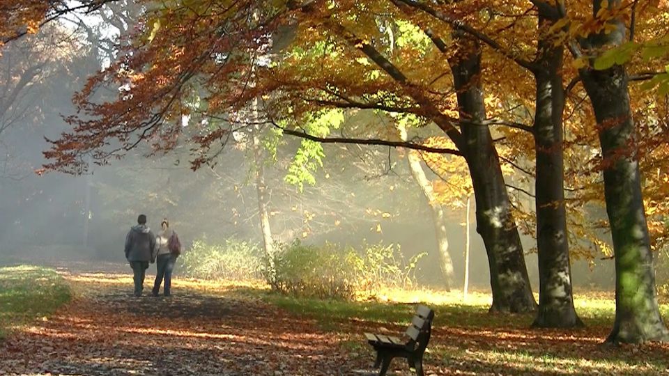 20 Grad-Wetterwoche: Das erwartet Bayern