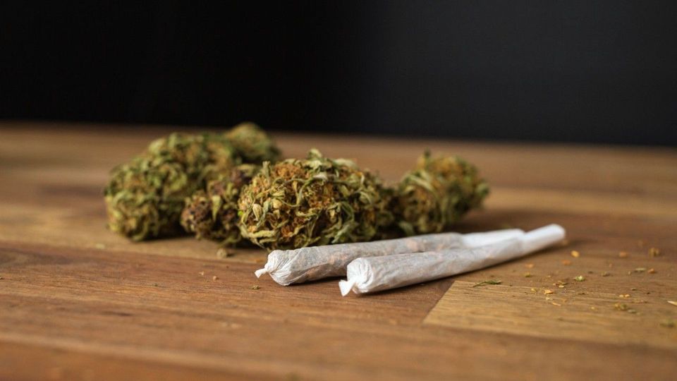 Cannabis-Konsum kaum gestiegen