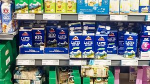 Milchprodukte: Preise im freien Fall